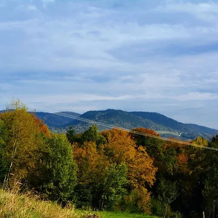 Lesna Muzyka Apartman